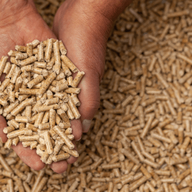 Supplying 6mm Biomass Pellets to Europe – Trusted long-term contracts.