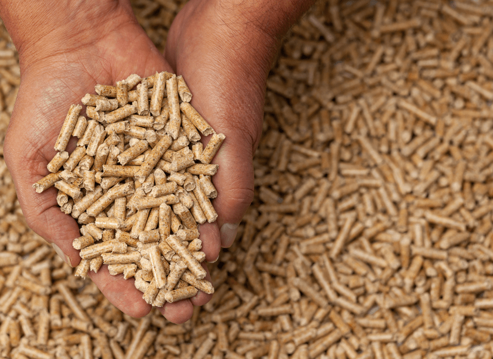 Supplying 6mm Biomass Pellets to Europe – Trusted long-term contracts.